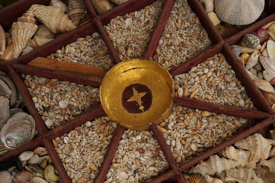 A rare 19th century mariner's box of shells, the mahogany box with cross banding and marquetry lid in the form of a compass, containing a collection of shells and mineral samples on two layers, with lift out tray, dimens